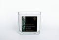 Seattle Fir 100% Pure Soy Double Wick Candle